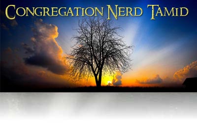 Congregation Nerd Tamid